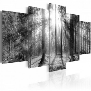 Quadro - Forest of Memories - 200x100