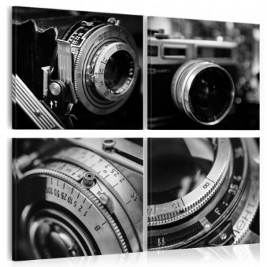 Quadro - Vintage Cameras - 80x80