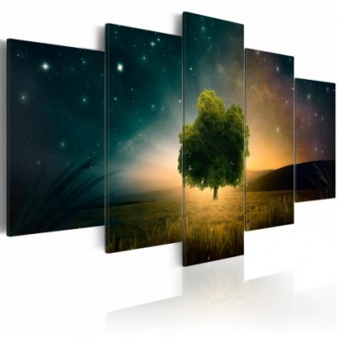 Quadro - Valley of Stars - 100x50