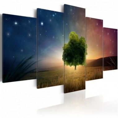 Quadro - Starry Nights - 200x100