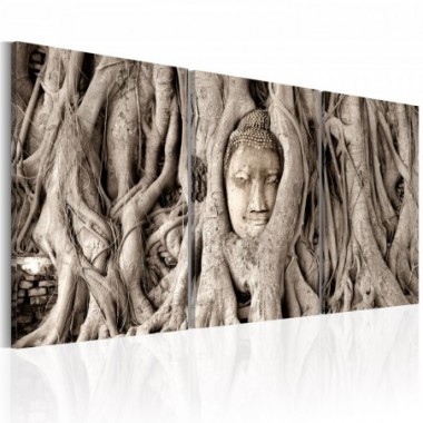 Quadro - Meditation's Tree - 60x30