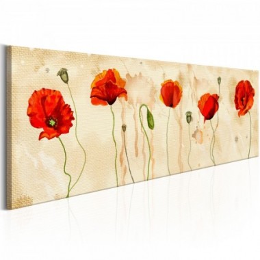 Quadro - Tears of Poppies - 150x50