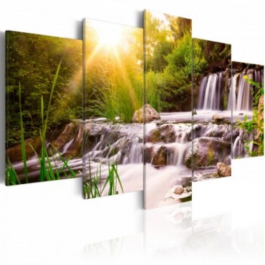 Quadro - Forest Waterfall - 200x100