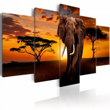 Quadro - The Savannah King - 200x100