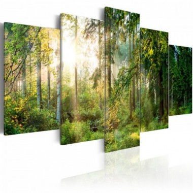 Quadro - Green Sanctuary - 100x50