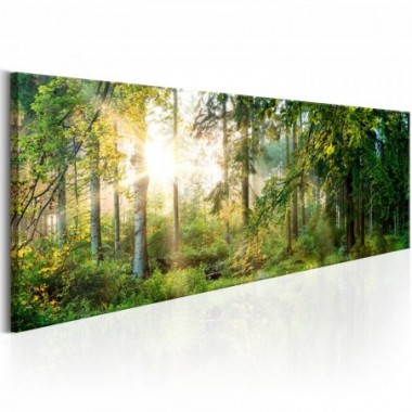Quadro - Forest Shelter - 150x50