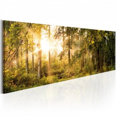 Quadro - Autumn Sigh - 150x50