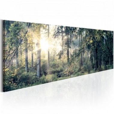 Quadro - Morning Magic - 120x40
