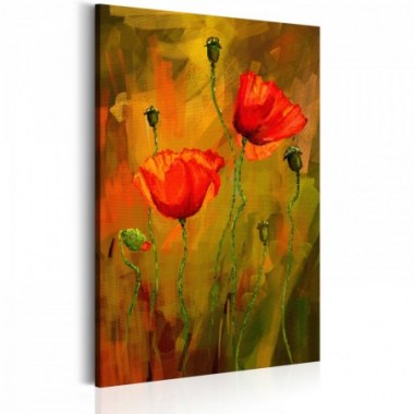 Quadro - The Awakening of Poppy - 40x60