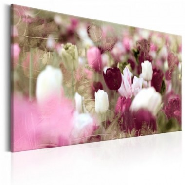 Quadro - Meadow of Tulips - 90x60