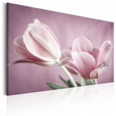 Quadro - Romantic Tulips - 60x40