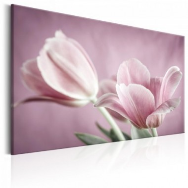 Quadro - Romantic Tulips - 90x60