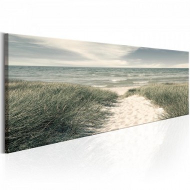 Quadro - Secrets of the Sea - 120x40