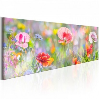 Quadro - Rainbow of Morning Poppies  - 135x45