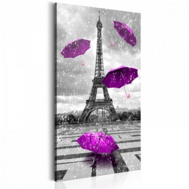 Quadro - Paris: Purple Umbrellas - 60x120