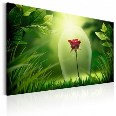 Quadro - Magical Rose - 90x60