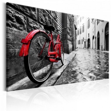 Quadro - Vintage Red Bike - 120x80