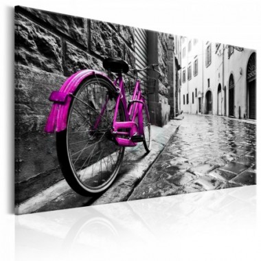 Quadro - Vintage Pink Bike - 90x60