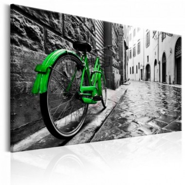 Quadro - Vintage Green Bike - 120x80