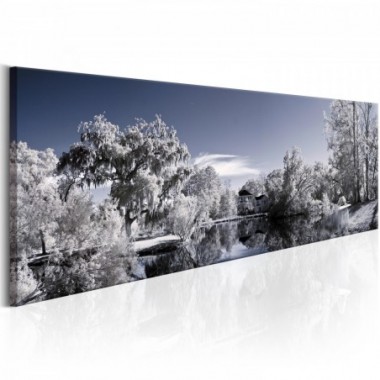 Quadro - Wintry Lake - 120x40