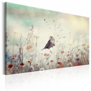 Quadro - Wild Meadow - 60x40