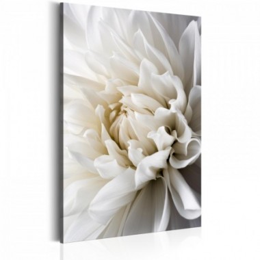 Quadro - White Dahlia - 60x90
