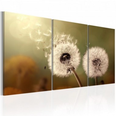 Quadro - Whisper of Summer - 60x30