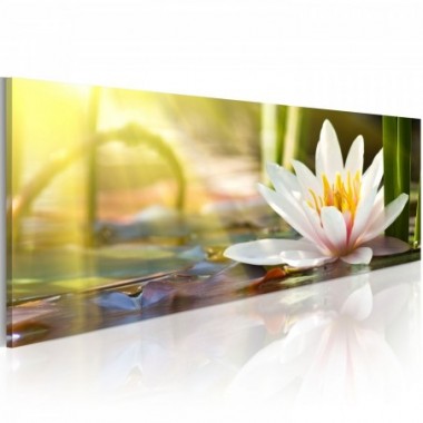 Quadro - Lotus' Glow - 150x50