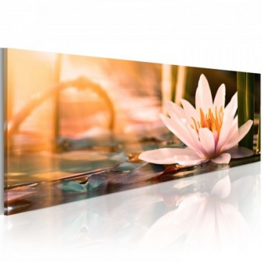 Quadro - Beautiful Lotus - 135x45