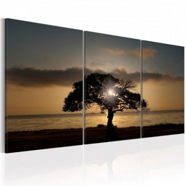 Quadro - Extraordinary Nature - 120x60