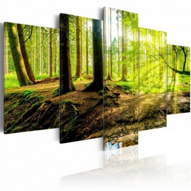 Quadro - Poetry of a Forest - 100x50