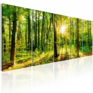 Quadro - Magic Forest - 225x90