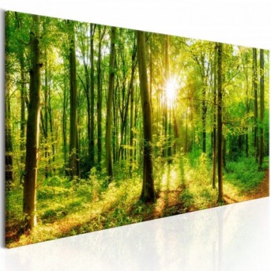 Quadro - Green Magic - 120x40
