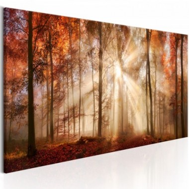 Quadro - Autumnal Dawn - 120x40