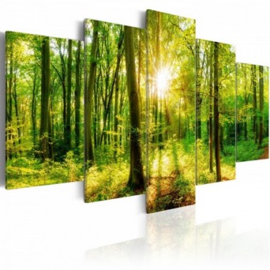 Quadro - Forest Tale - 100x50