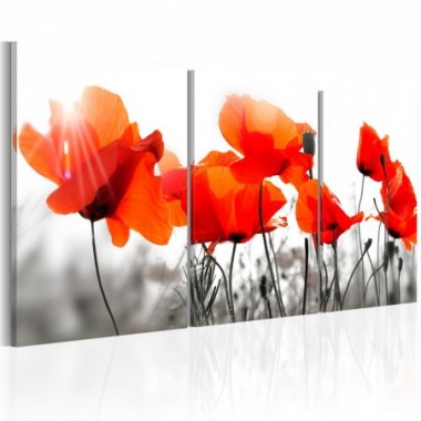 Quadro - Charming Poppies - 60x30
