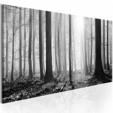 Quadro - Black and White Forest - 150x50