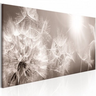 Quadro - Summer Dandelions - 120x40