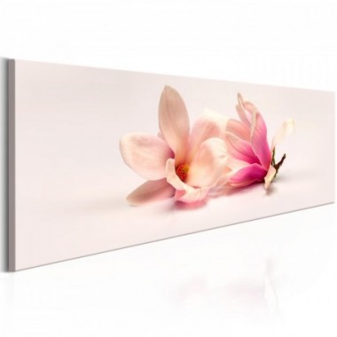 Quadro - Beautiful Magnolias - 120x40