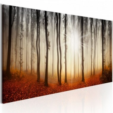 Quadro - Autumnal Fog - 120x40