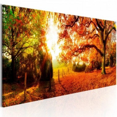 Quadro - Magic of Autumn - 150x50