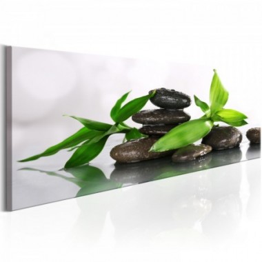 Quadro - SPA: Bamboo and Stones - 135x45