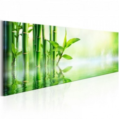 Quadro - Green Bamboo - 120x40