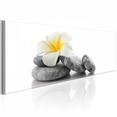Quadro - White Lotus - 120x40