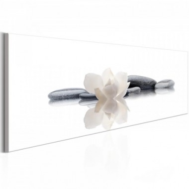 Quadro - Spa, Beauty and Relaxation - 150x50