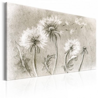 Quadro - Dandelions (Pencil Artwork) - 90x60