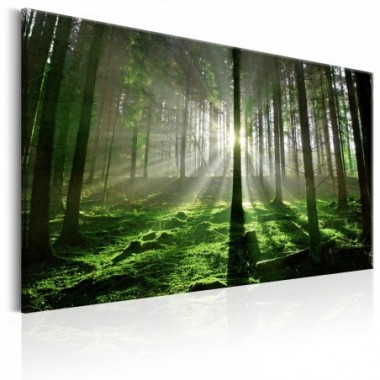 Quadro - Emerald Forest II - 90x60