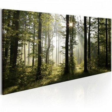 Quadro - Beautiful Morning - 120x60