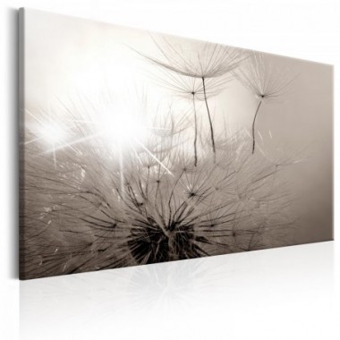 Quadro - Beautiful Summer: Dandelions - 120x80