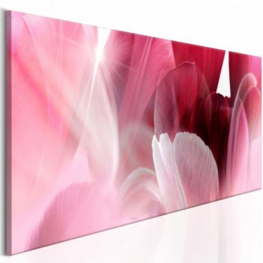 Quadro - Flowers: Pink Tulips - 120x40